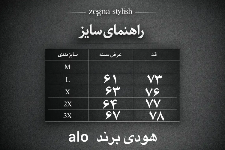 هودی طوسی جنس دورس ۳ نخ داخل کرکی بدون بند وارداتی برند alo گرم بالا ترند مردانه باکسی (۲۰۱۰)